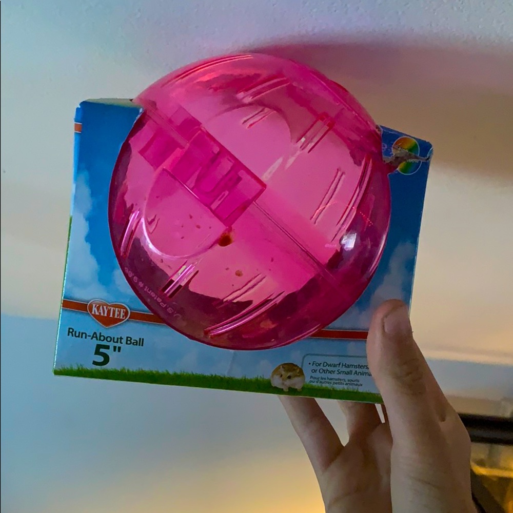 Hamster Ball